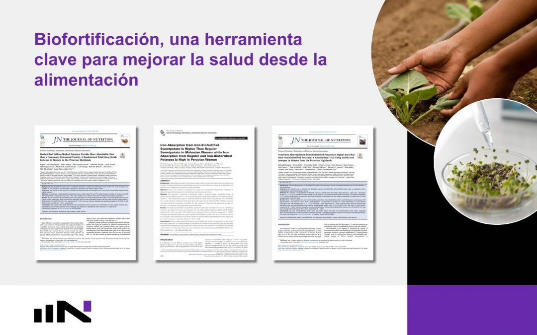 Biofortificación de alimentos: una estrategia sostenible para mejorar la nutrición y la salud pública